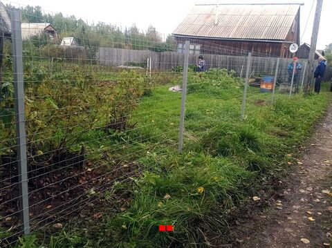 Ограждение из сетки рабицы для дачного участка