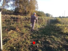 Сетка проволока 1,6 мм для забора высотой 1,5 метра