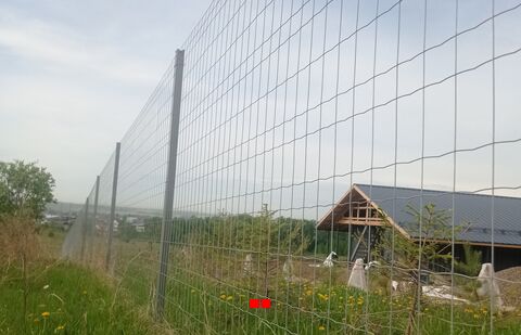 Забор из сварной сетки в рулонах крупно